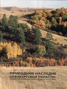 Natural heritage of the Orenburg region: the most protected natural sites