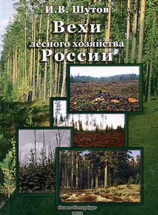 Milestones of forestry in Russia