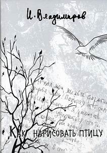 How to draw a bird