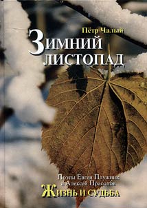 Zimniĭ listopad. Poety Evgen Pluz︠h︡nik i Alekseĭ Prasolov. Z︠H︡iznʹ i sudʹba