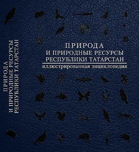 Nature and natural resources of Republic of Tatarstan