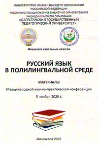 Russian language in a multilingual environment
