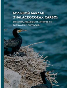 Bolʹshoĭ baklan (Phalacrocorax carbo): ekologii︠a︡, evoli︠u︡t︠s︡ii︠a︡ i monitoring baĭkalʹskoĭ populi︠a︡t︠s︡ii