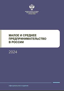 Малое и среднее предпринимательство в России. 2024
