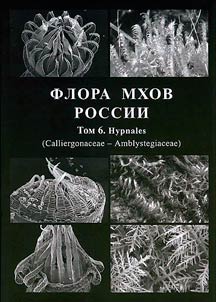 Flora mkhov Rossii