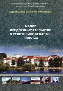 Small business in the Republic of Belarus, 2005
