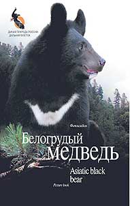 Belogrudyĭ medvedʹ Rossii